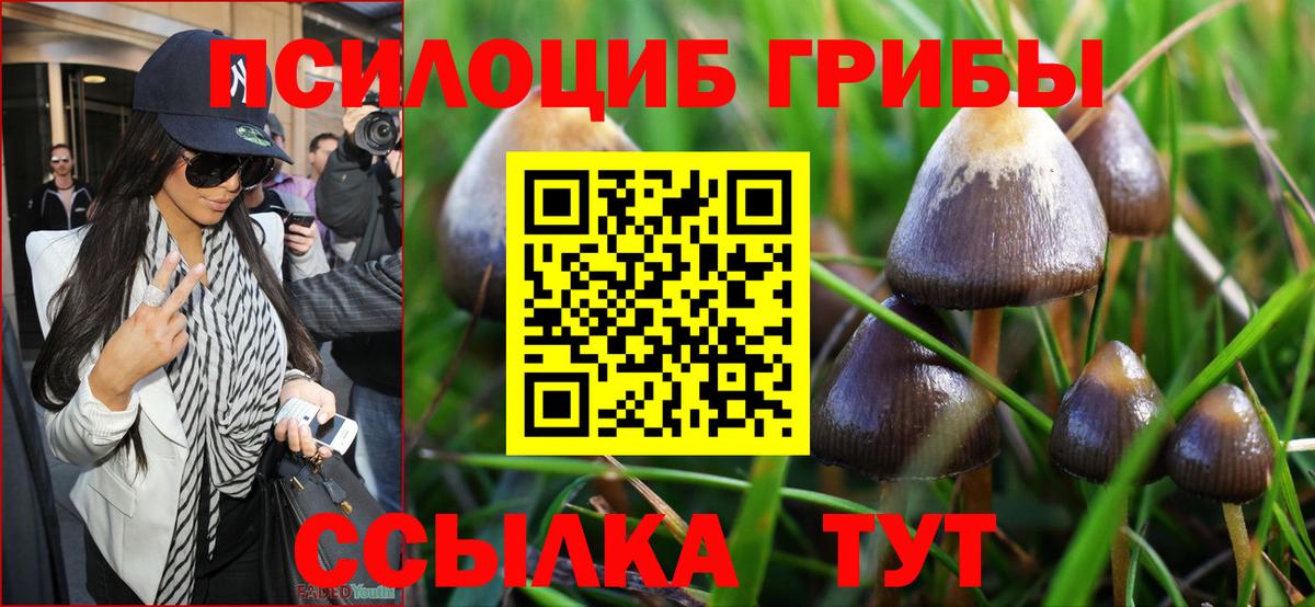 как найти закладки  Вход с VPN  Пугачёв  Псилоцибиновые грибы мухоморы 